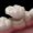 dental crowns
